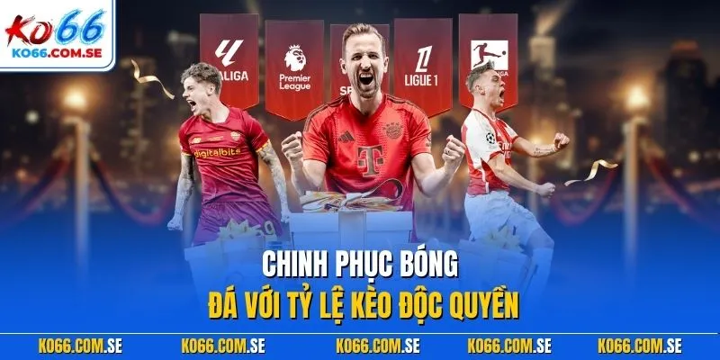 Chinh phục bóng đá với tỷ lệ kèo độc quyền