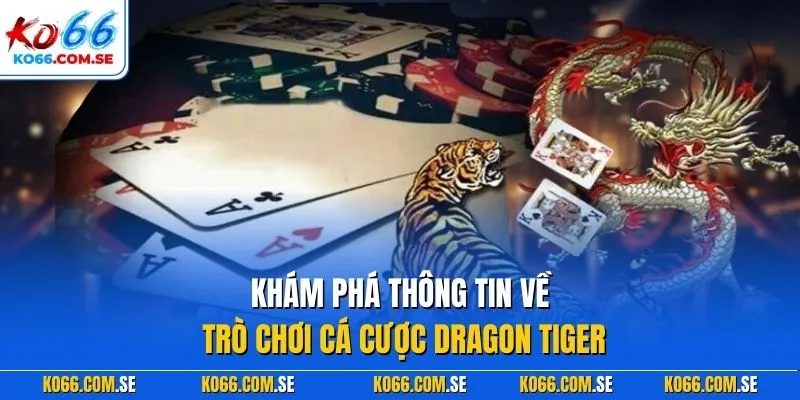 Khám phá thông tin về trò chơi cá cược Dragon Tiger