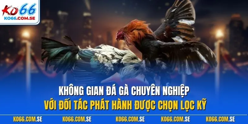 Không gian đá gà chuyên nghiệp với đối tác phát hành được chọn lọc kỹ