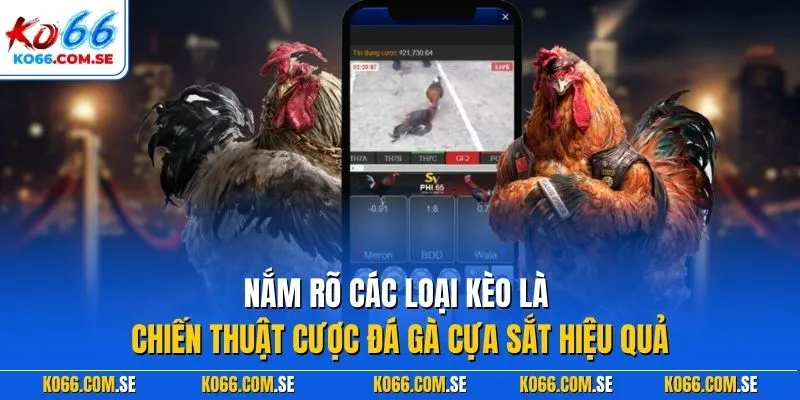 Nắm rõ các loại kèo là chiến thuật cược đá gà cựa sắt hiệu quả