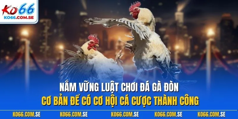 Nắm vững luật chơi đá gà đòn cơ bản để có cơ hội cá cược thành công