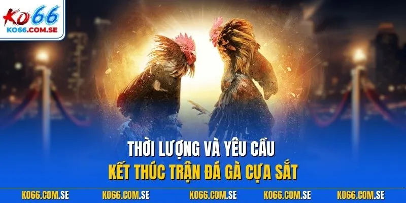 Thời lượng và yêu cầu kết thúc trận đá gà cựa sắt