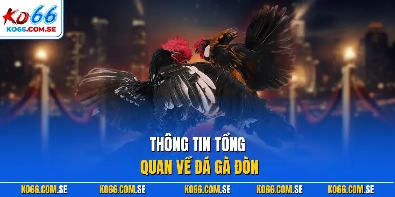 Thông tin tổng quan về đá gà đòn