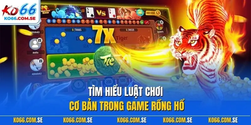 Tìm hiểu luật chơi cơ bản trong game rồng hổ